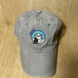 Aiken Audubon Pikes Peak Owl‎ Embroidery Baseball Hat Nature Gray Adjustable